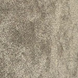 Meet your Posher, Ginger